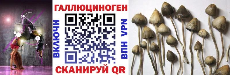 где можно купить наркотик  Гагарин  Псилоцибиновые грибы ЛСД 