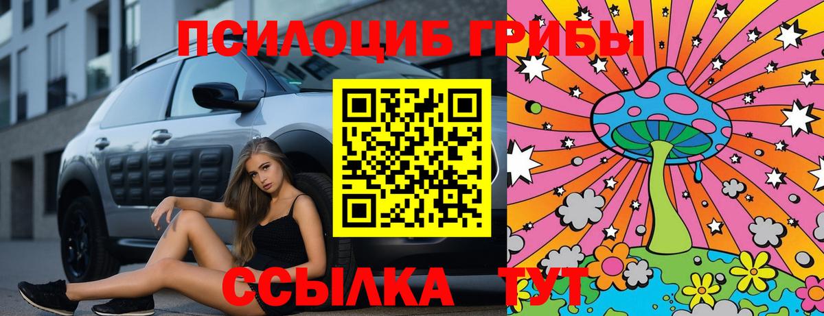 Псилоцибиновые грибы Psilocybe Гагарин
