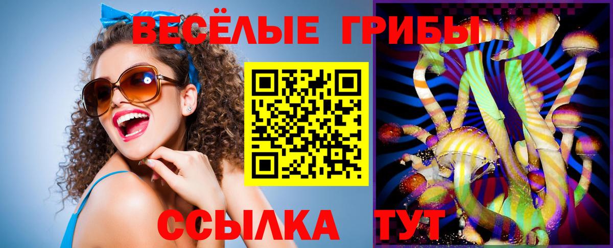 Гагарин  Галлюциногенные грибы Cubensis  Вход с VPN 